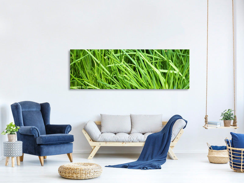 panoramic-canvas-print-fresh-chives-xl