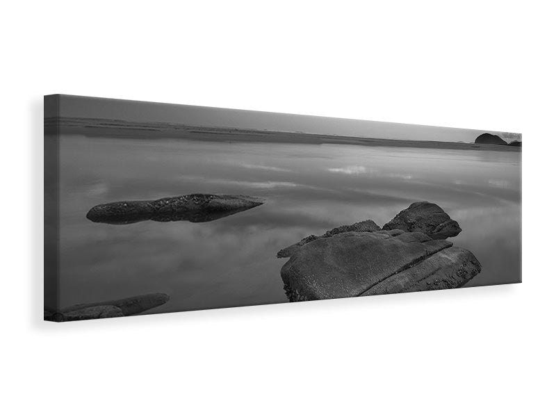 panoramic-canvas-print-itaguara