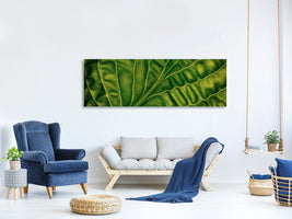 panoramic-canvas-print-leaf-of-a-hosta