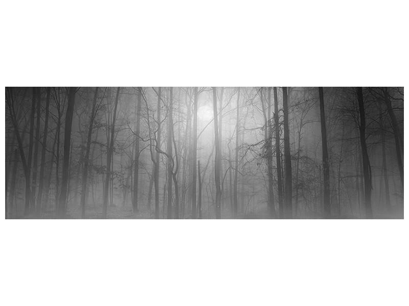 panoramic-canvas-print-morning-mist-ii