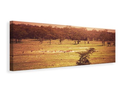 panoramic-canvas-print-picturesque-africa