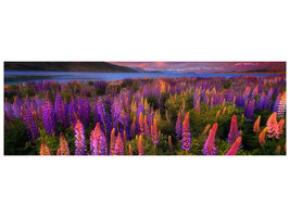 panoramic-canvas-print-springtime-rush