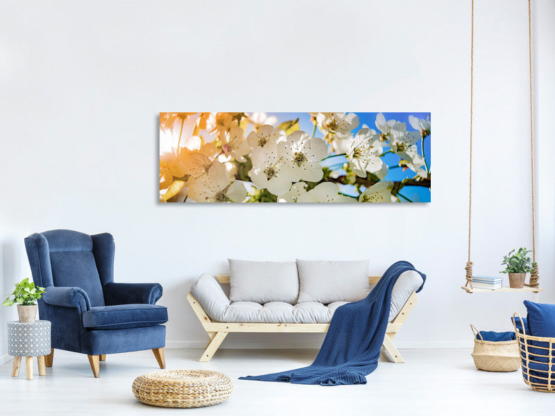 panoramic-canvas-print-the-apple-tree-blossom