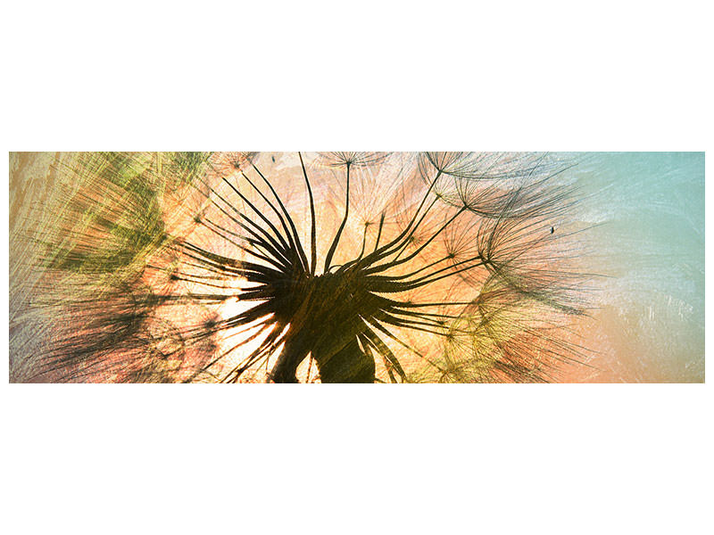 panoramic-canvas-print-xxl-dandelion