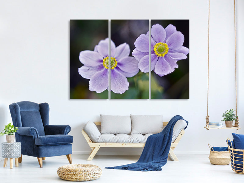 3-piece-canvas-print-2-flowers