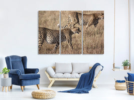 3-piece-canvas-print-2-leopards