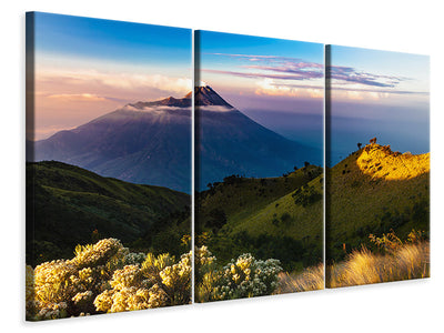 3-piece-canvas-print-a-summer-in-the-mountains