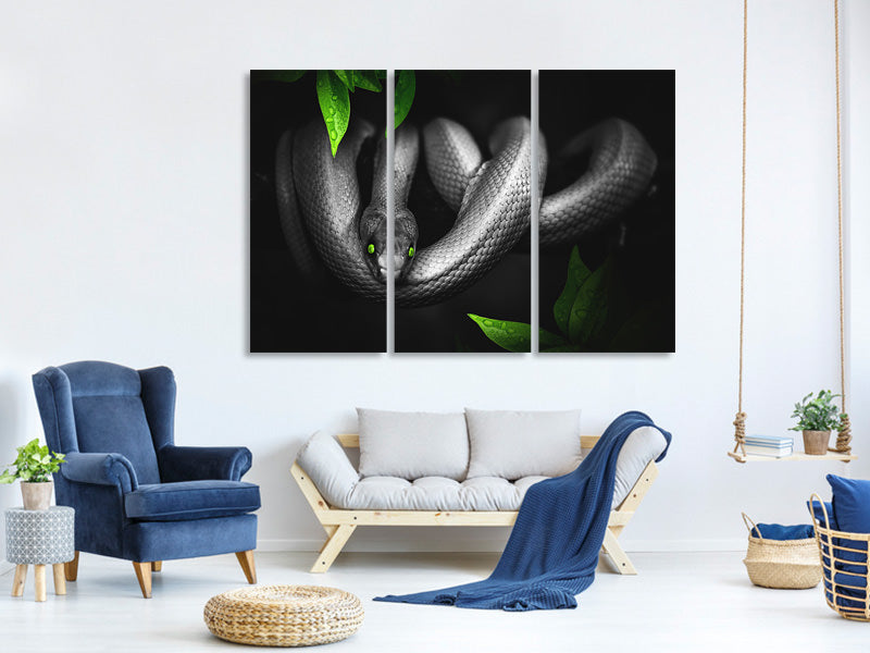 3-piece-canvas-print-attention-snake