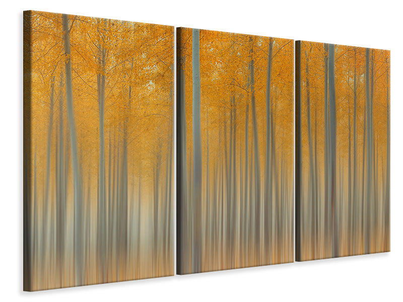 3-piece-canvas-print-autumn-delight-ii