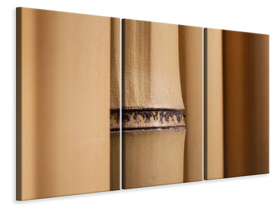 3-piece-canvas-print-bamboo-close-up