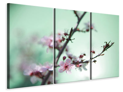 3-piece-canvas-print-beautiful-japanese-cherry-blossom
