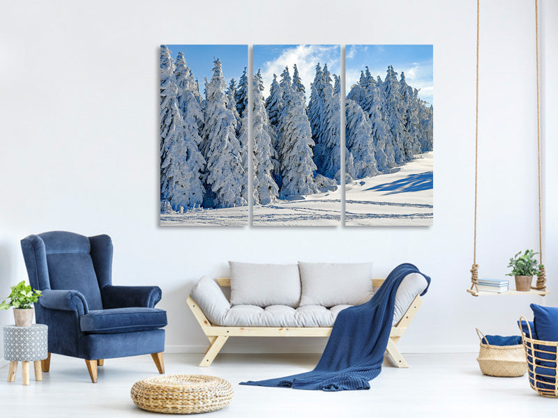 3-piece-canvas-print-beautiful-winter-landscape