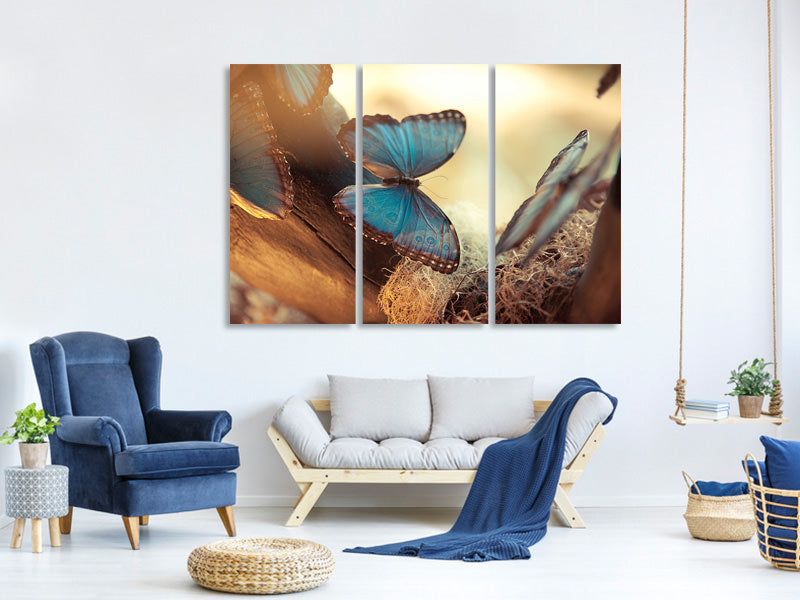 3-piece-canvas-print-butterflies