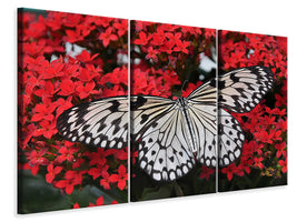 3-piece-canvas-print-butterfly-in-xxl