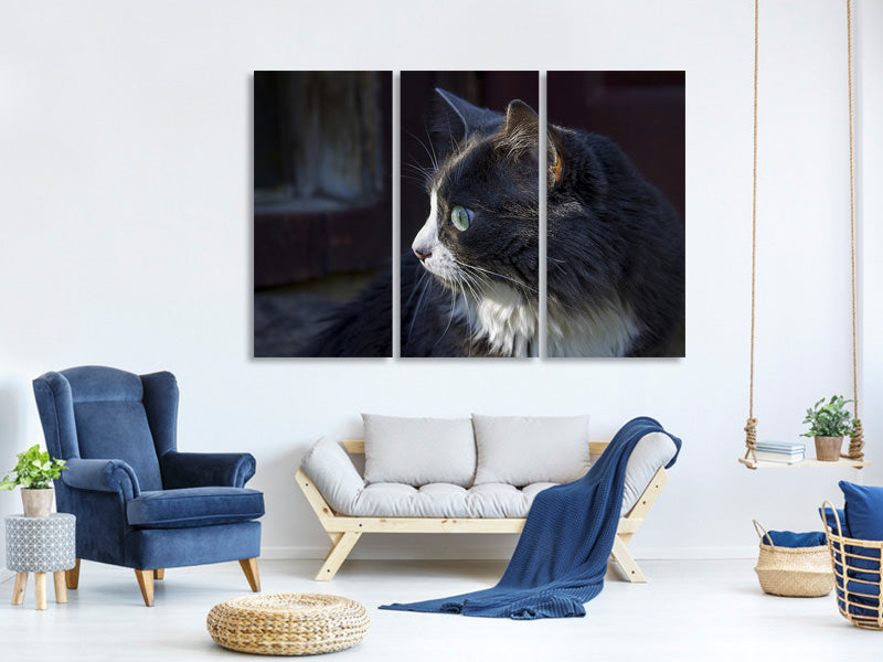 3-piece-canvas-print-cat39s-head-xl