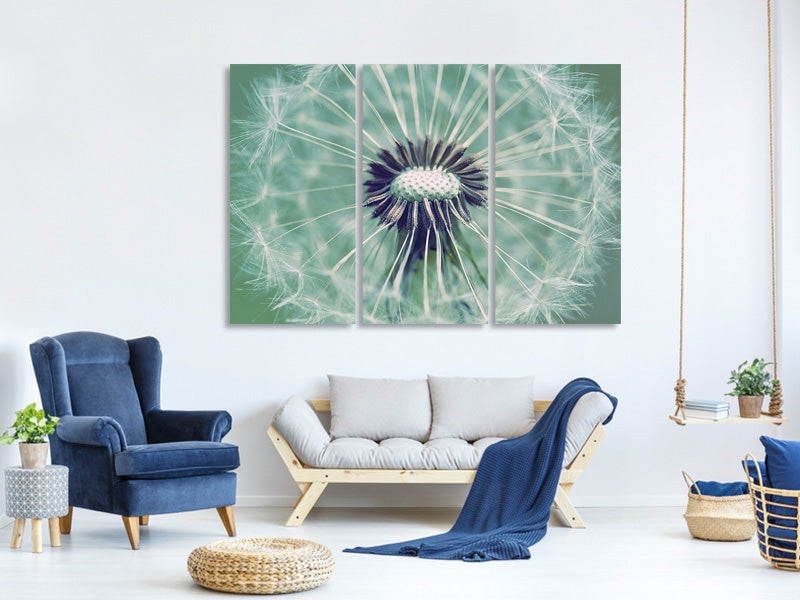 3-piece-canvas-print-close-up-dandelion