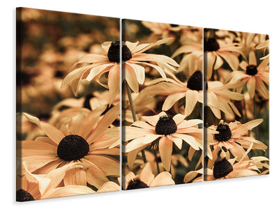 3-piece-canvas-print-daisies-in-sepia