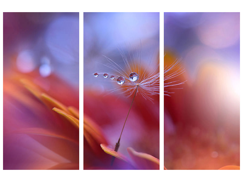 3-piece-canvas-print-dance-in-the-light