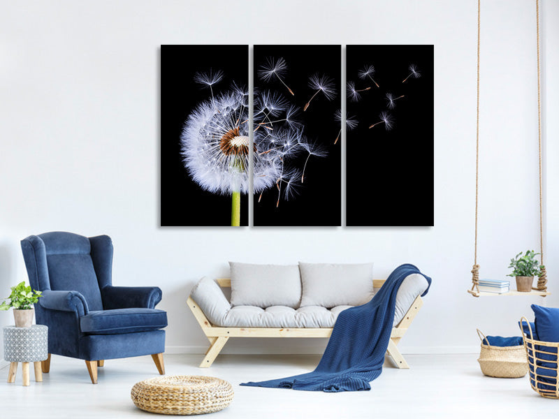 3-piece-canvas-print-dandelion-blowing