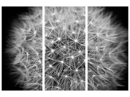 3-piece-canvas-print-dandelion-in-xxl