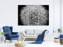 3-piece-canvas-print-dandelion-in-xxl