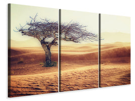 3-piece-canvas-print-desert-storm