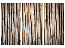 3-piece-canvas-print-dried-bamboos
