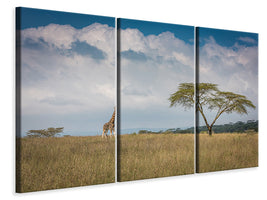 3-piece-canvas-print-east-africa