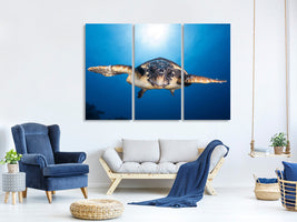 3-piece-canvas-print-face-to-face-with-a-hawksbill-sea-turtle