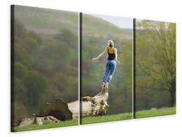 3-piece-canvas-print-genuine-nature-experience