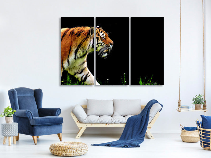 3-piece-canvas-print-imposing-tiger