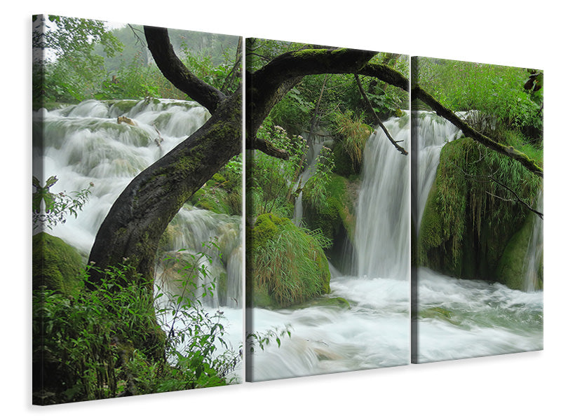 3-piece-canvas-print-in-the-national-park