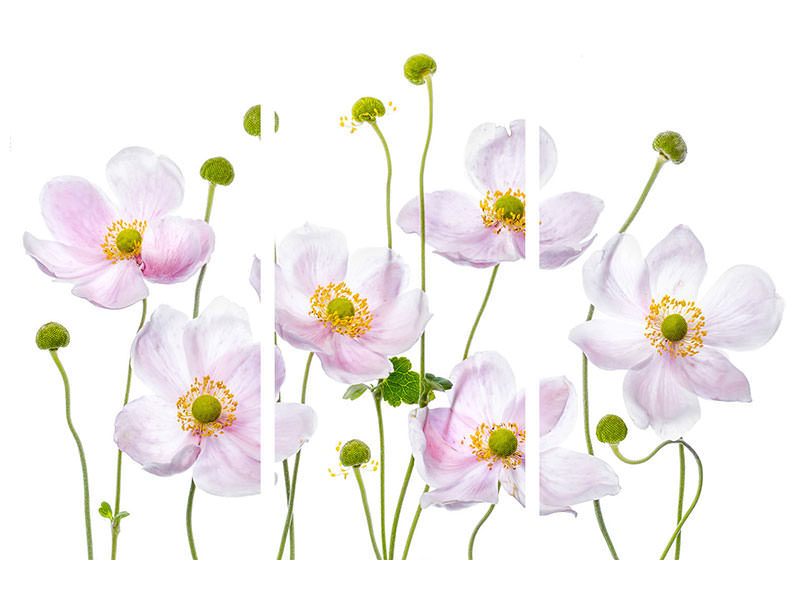 3-piece-canvas-print-japanese-anemones