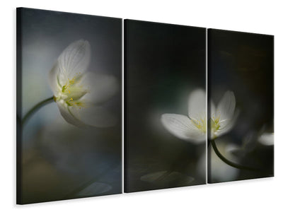 3-piece-canvas-print-light-in-the-darkness