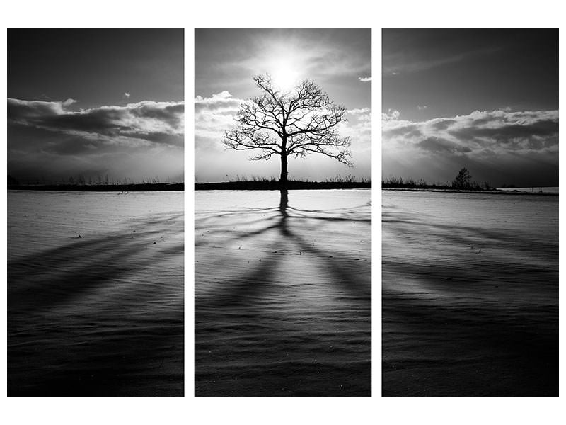 3-piece-canvas-print-light-iv