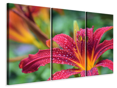 3-piece-canvas-print-lily-flower-in-pink-xl