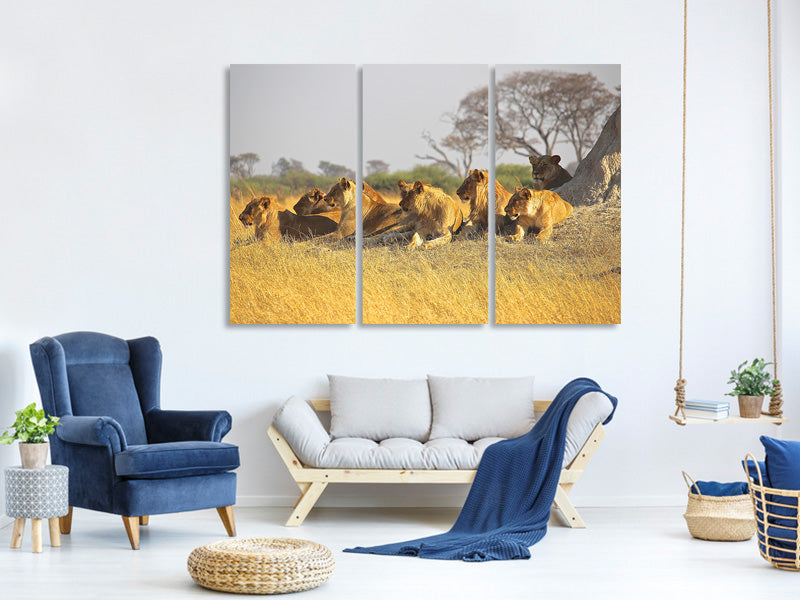 3-piece-canvas-print-lion-family