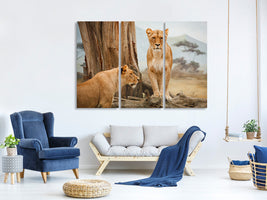 3-piece-canvas-print-lions-in-africa
