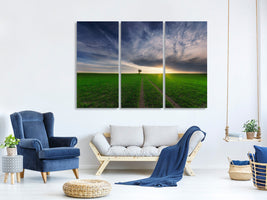 3-piece-canvas-print-loner-in-the-sun