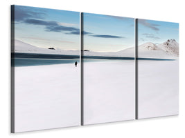 3-piece-canvas-print-lost-in-iceland