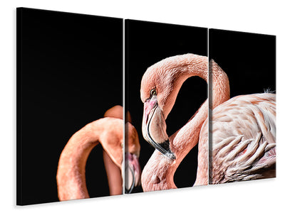 3-piece-canvas-print-magnificent-flamingos