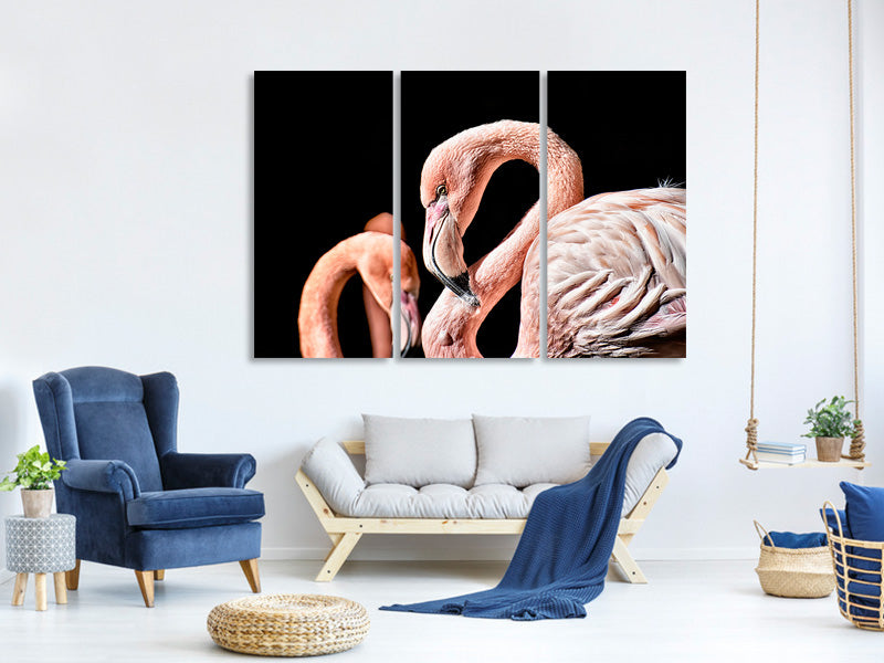 3-piece-canvas-print-magnificent-flamingos