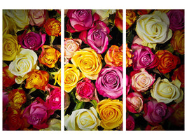 3-piece-canvas-print-many-colorful-rose-petals