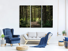 3-piece-canvas-print-many-trees