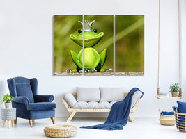 3-piece-canvas-print-mr-frog-king