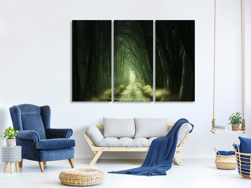 3-piece-canvas-print-mysterious-forest-iii