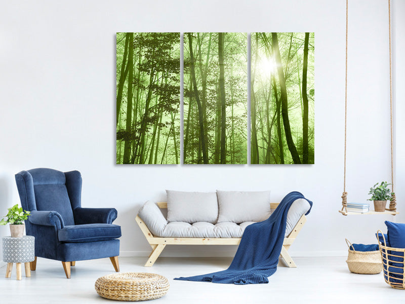 3-piece-canvas-print-nibelungen-forest