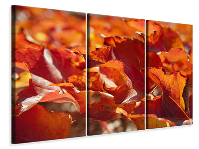 3-piece-canvas-print-nice-autumn-leaves