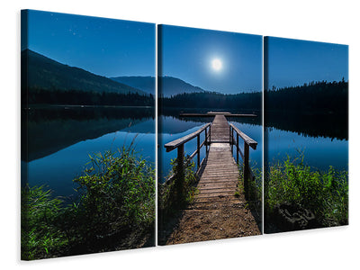 3-piece-canvas-print-one-night-at-full-moon