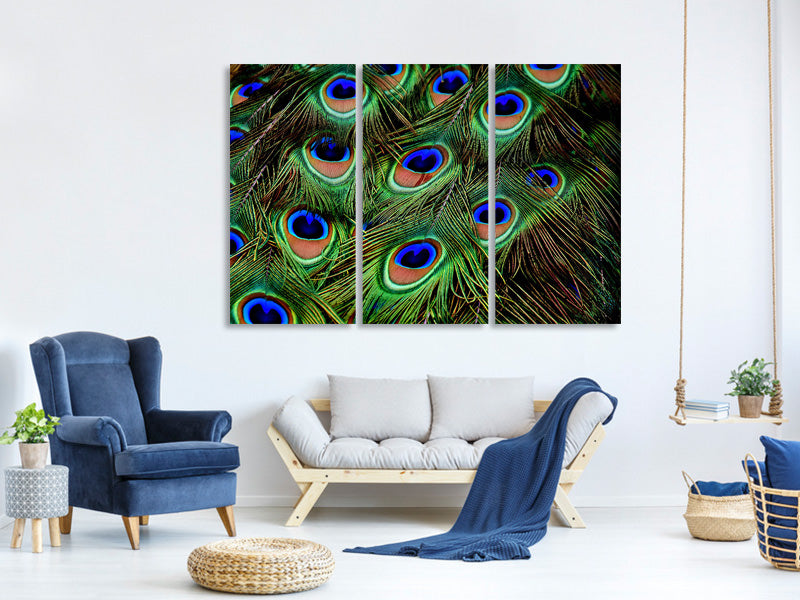 3-piece-canvas-print-peacock-feathers-xxl